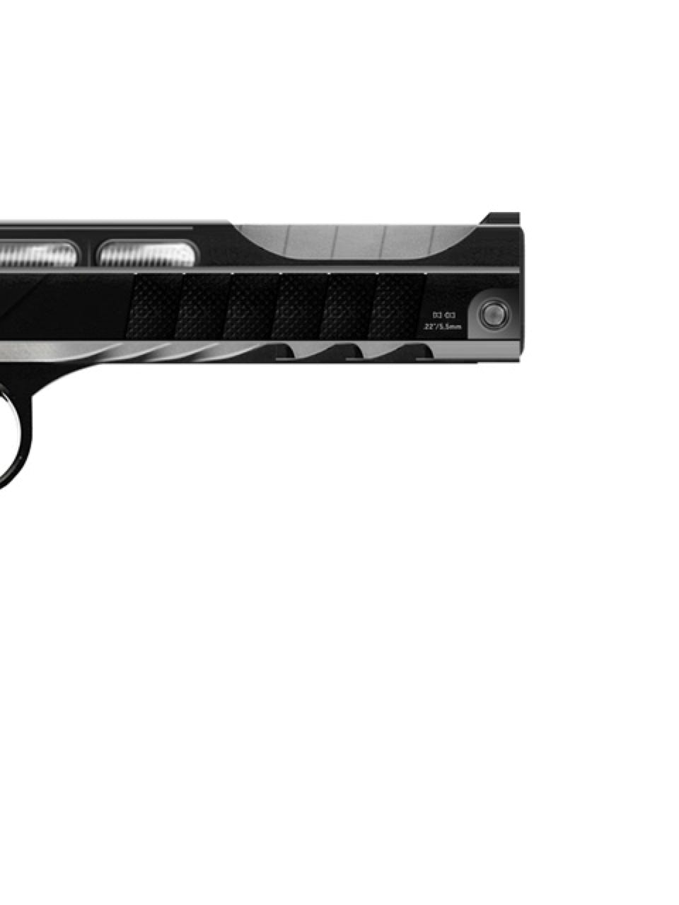 Pistol: SKULL P-7 / High power and precision air gun pistol